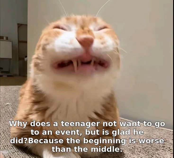 Why does a teenager not want to go to an event, but is glad he did?Because the beginning is worse than the middle.