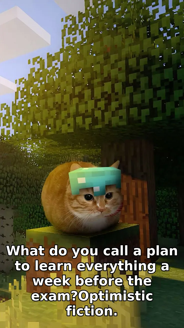 What do you call a plan to learn everything a week before the exam?Optimistic fiction.