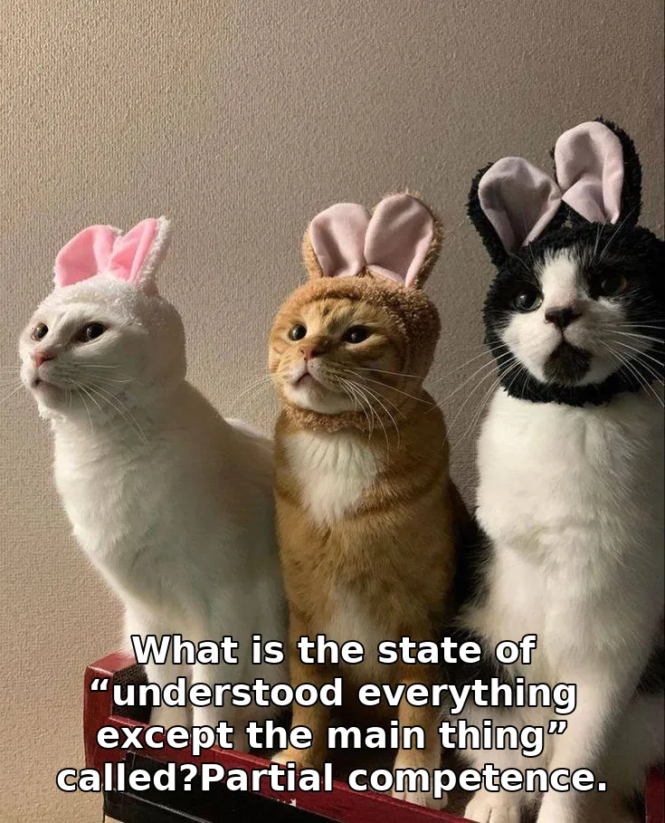 What is the state of “understood everything except the main thing” called?Partial competence.