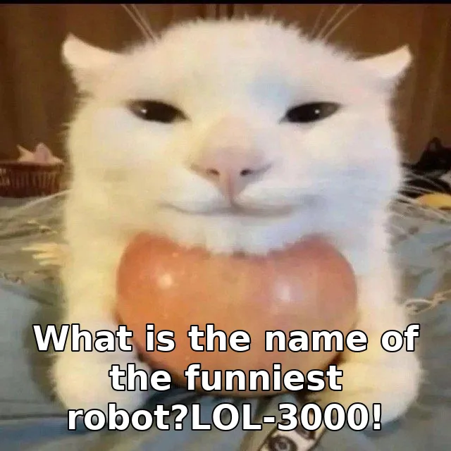 What is the name of the funniest robot?LOL-3000!