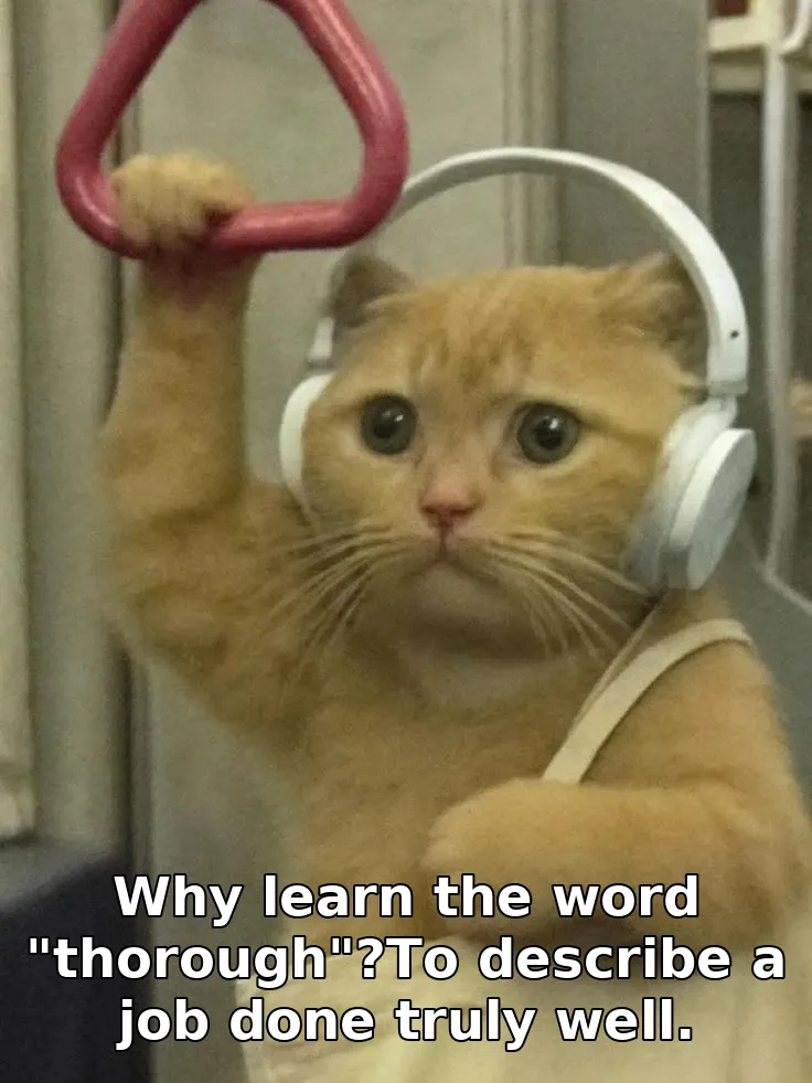 Why learn the word "thorough"?To describe a job done truly well.