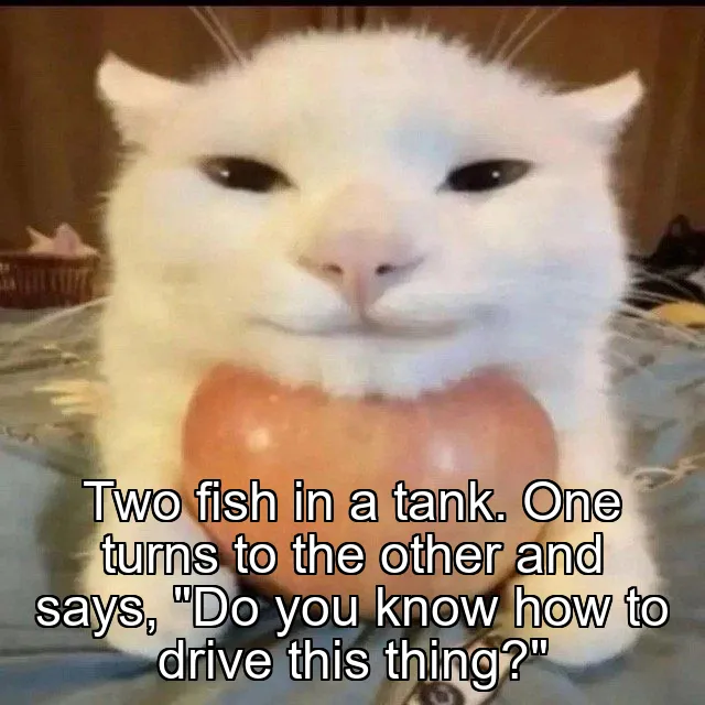 Two fish in a tank. One turns to the other and says, "Do you know how to drive this thing?"