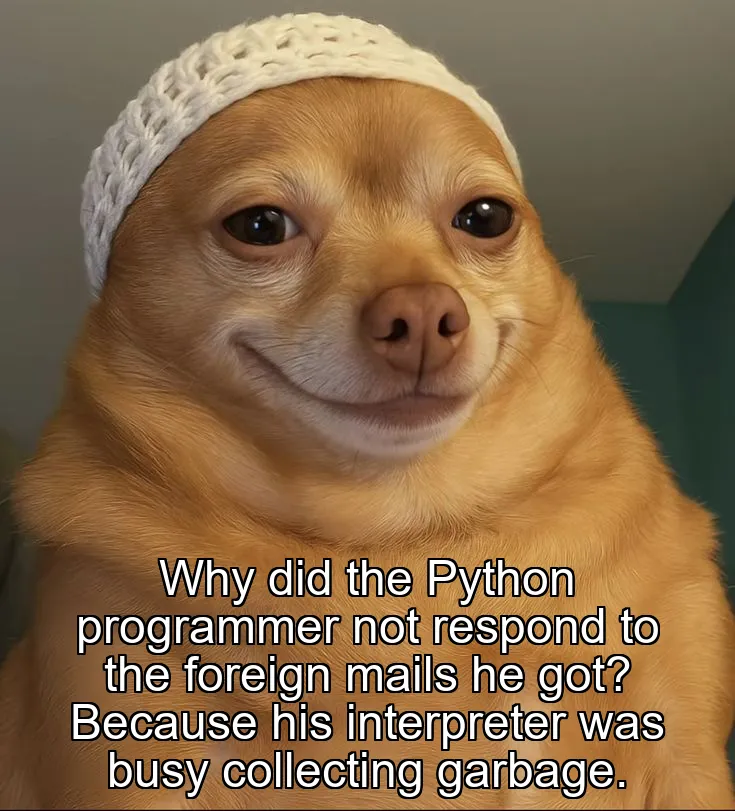 Why did the Python programmer not respond to the foreign mails he got? Because his interpreter was busy collecting garbage.