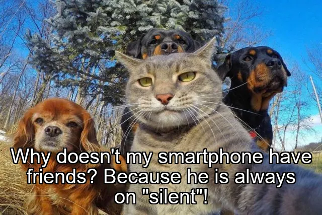 Why doesn't my smartphone have friends? Because he is always on "silent"!