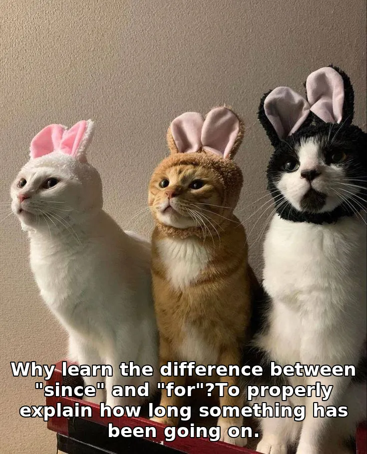 Why learn the difference between "since" and "for"?To properly explain how long something has been going on.