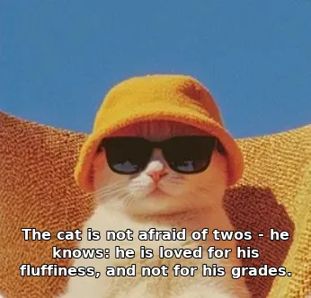 The cat is not afraid of twos - he knows: he is loved for his fluffiness, and not for his grades.