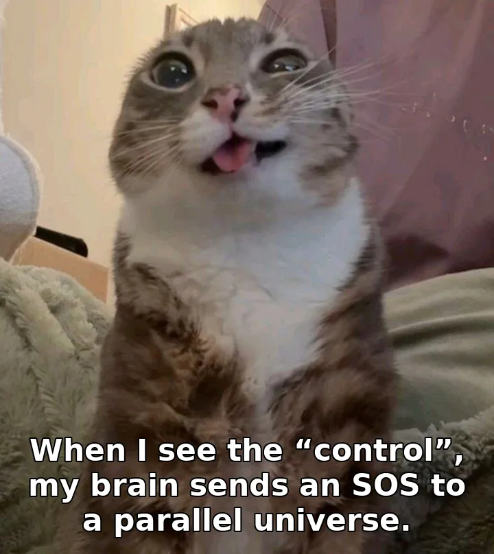 When I see the “control”, my brain sends an SOS to a parallel universe.