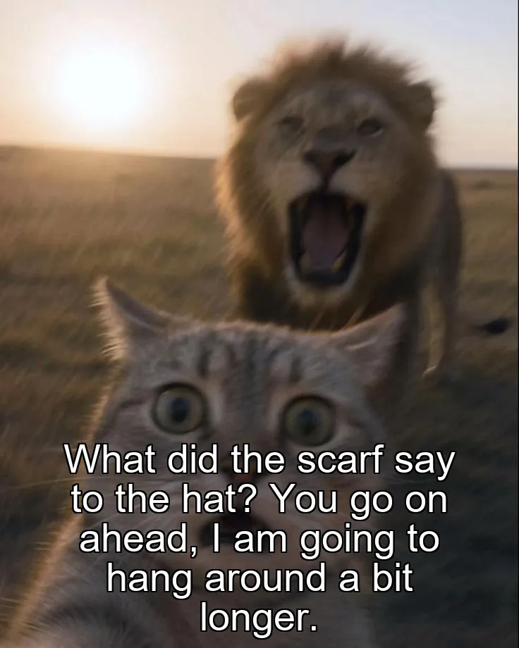 What did the scarf say to the hat? You go on ahead, I am going to hang around a bit longer.