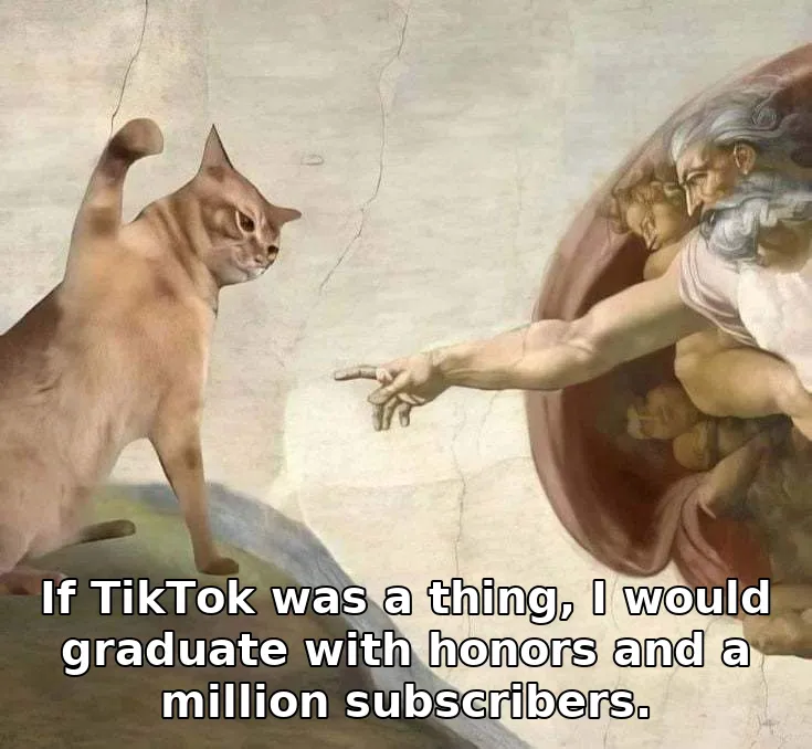 If TikTok was a thing, I would graduate with honors and a million subscribers.