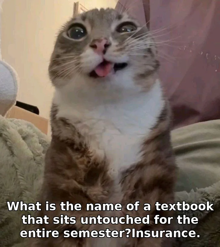 What is the name of a textbook that sits untouched for the entire semester?Insurance.