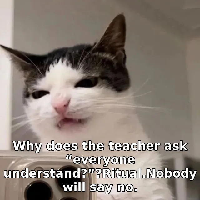 Why does the teacher ask “everyone understand?”?Ritual.Nobody will say no.
