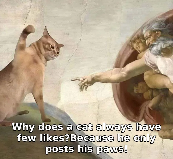 Why does a cat always have few likes?Because he only posts his paws!