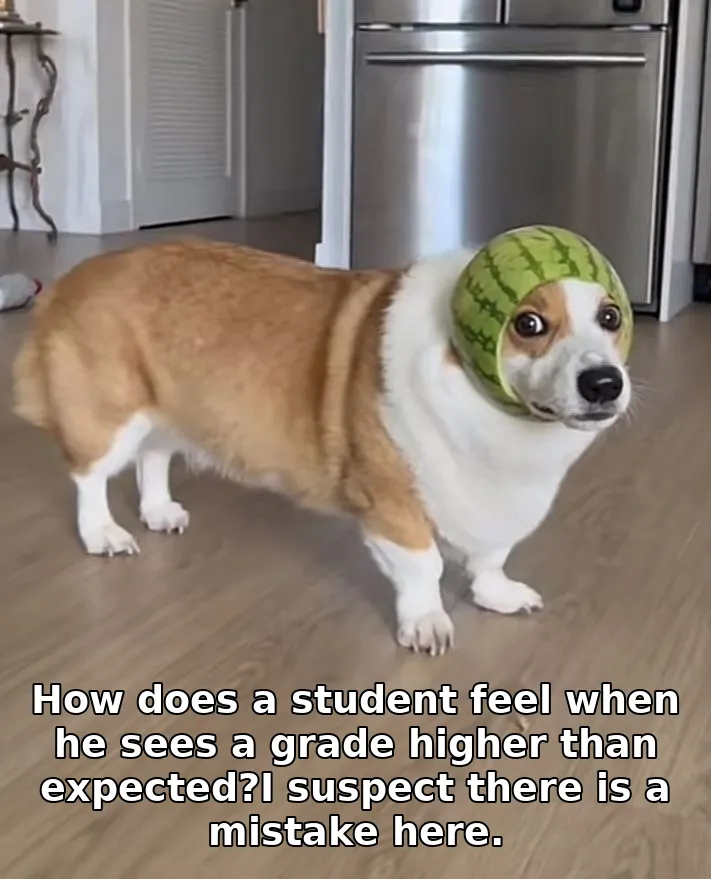 How does a student feel when he sees a grade higher than expected?I suspect there is a mistake here.