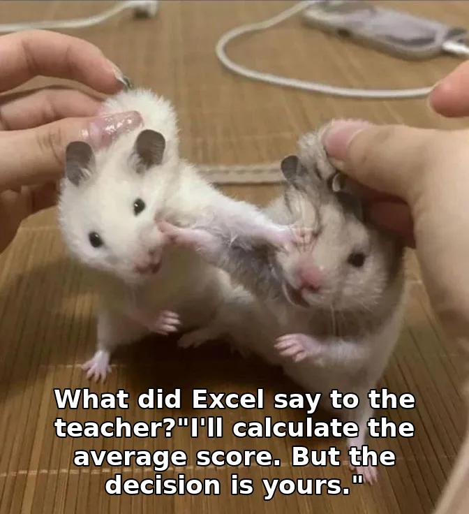 What did Excel say to the teacher?"I'll calculate the average score. But the decision is yours."