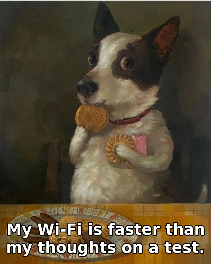 My Wi-Fi is faster than my thoughts on a test.
