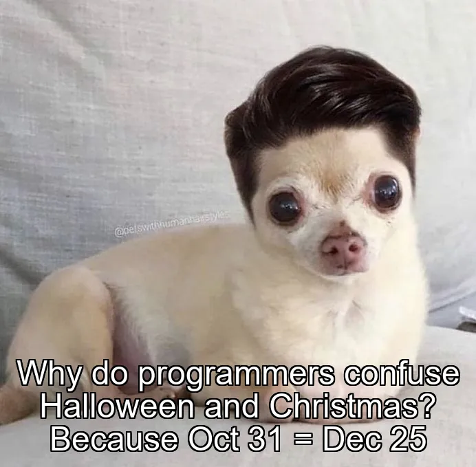 Why do programmers confuse Halloween and Christmas? Because Oct 31 = Dec 25