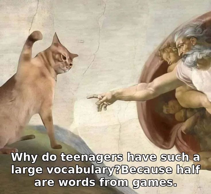 Why do teenagers have such a large vocabulary?Because half are words from games.