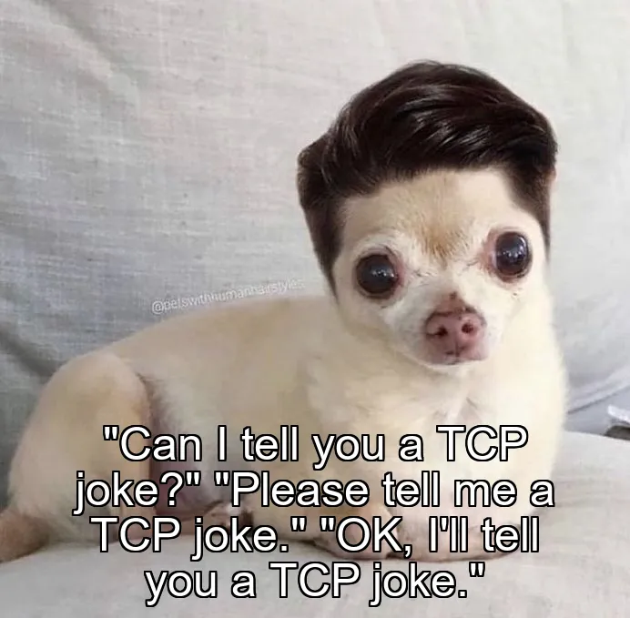 "Can I tell you a TCP joke?"
"Please tell me a TCP joke."
"OK, I'll tell you a TCP joke."