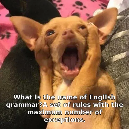 What is the name of English grammar?A set of rules with the maximum number of exceptions.