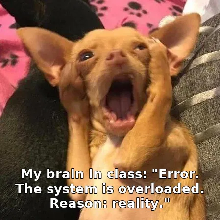 My brain in class: "Error. The system is overloaded. Reason: reality."