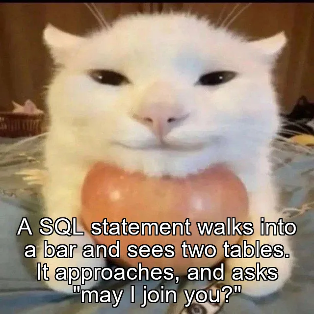 A SQL statement walks into a bar and sees two tables.
It approaches, and asks "may I join you?"