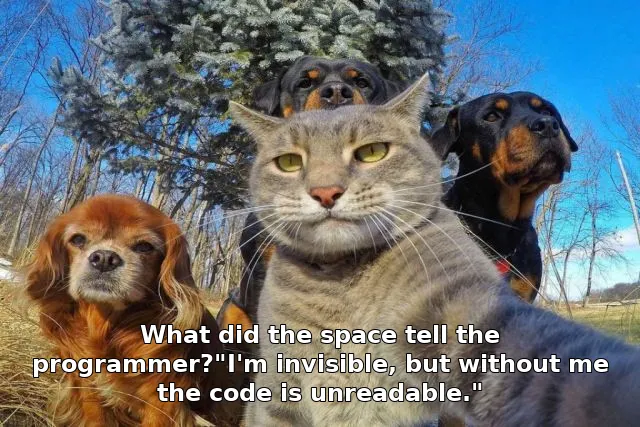 What did the space tell the programmer?"I'm invisible, but without me the code is unreadable."