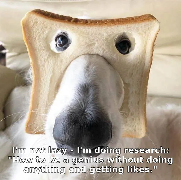 I'm not lazy - I'm doing research: "How to be a genius without doing anything and getting likes."
