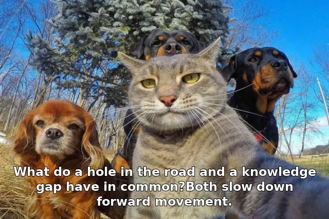 What do a hole in the road and a knowledge gap have in common?Both slow down forward movement.