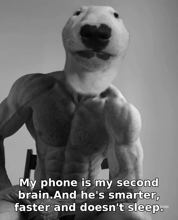 My phone is my second brain.And he's smarter, faster and doesn't sleep.