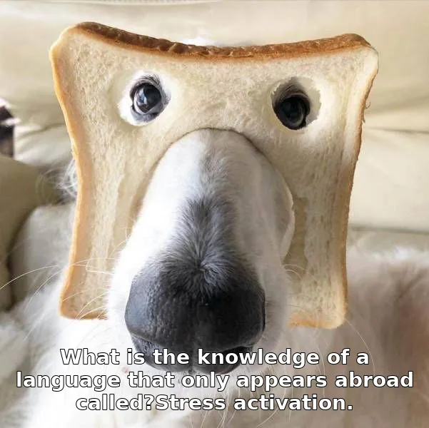What is the knowledge of a language that only appears abroad called?Stress activation.