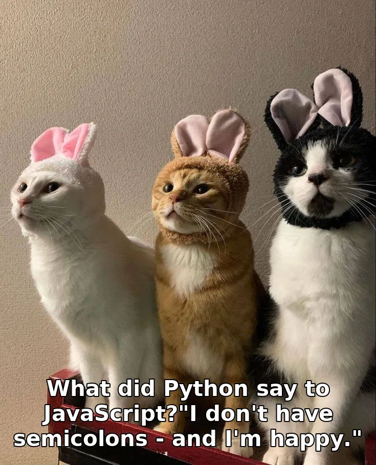 What did Python say to JavaScript?"I don't have semicolons - and I'm happy."
