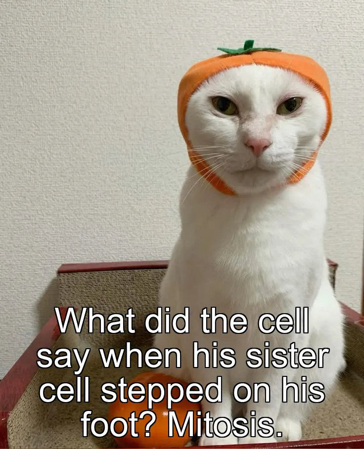 What did the cell say when his sister cell stepped on his foot? Mitosis.