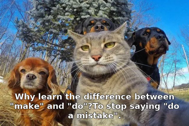 Why learn the difference between "make" and "do"?To stop saying "do a mistake".
