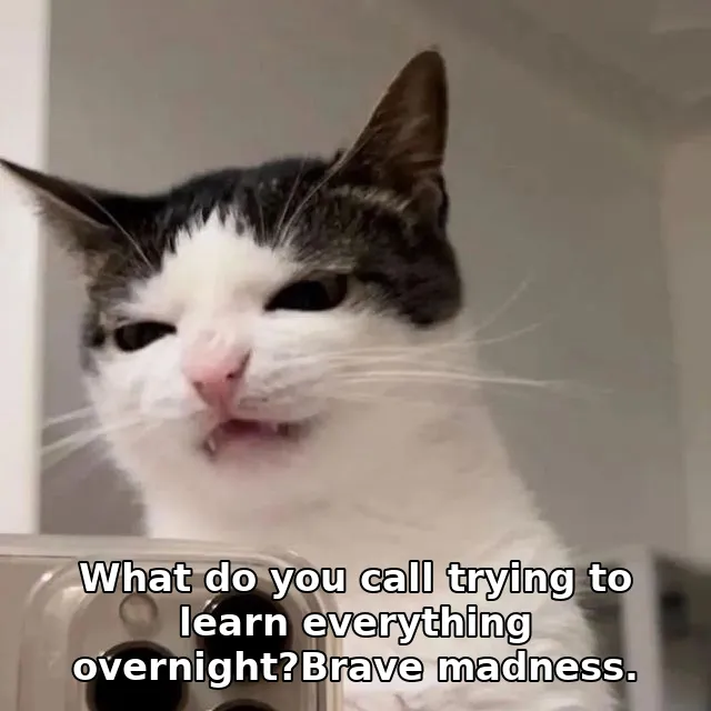 What do you call trying to learn everything overnight?Brave madness.