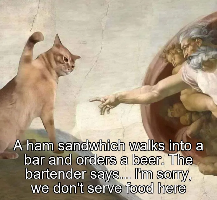 A ham sandwhich walks into a bar and orders a beer. The bartender says... I'm sorry, we don't serve food here
