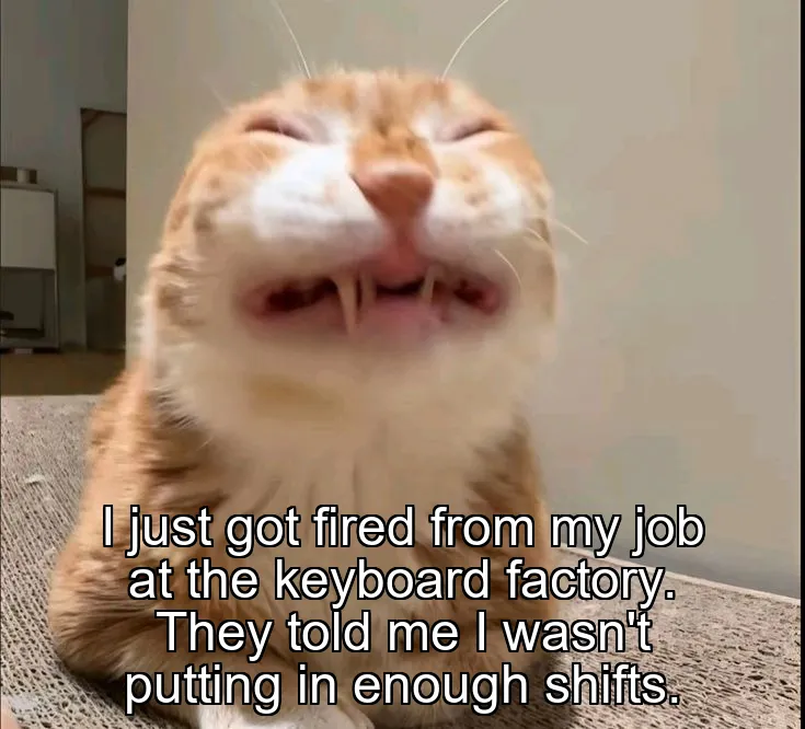 I just got fired from my job at the keyboard factory. They told me I wasn't putting in enough shifts.