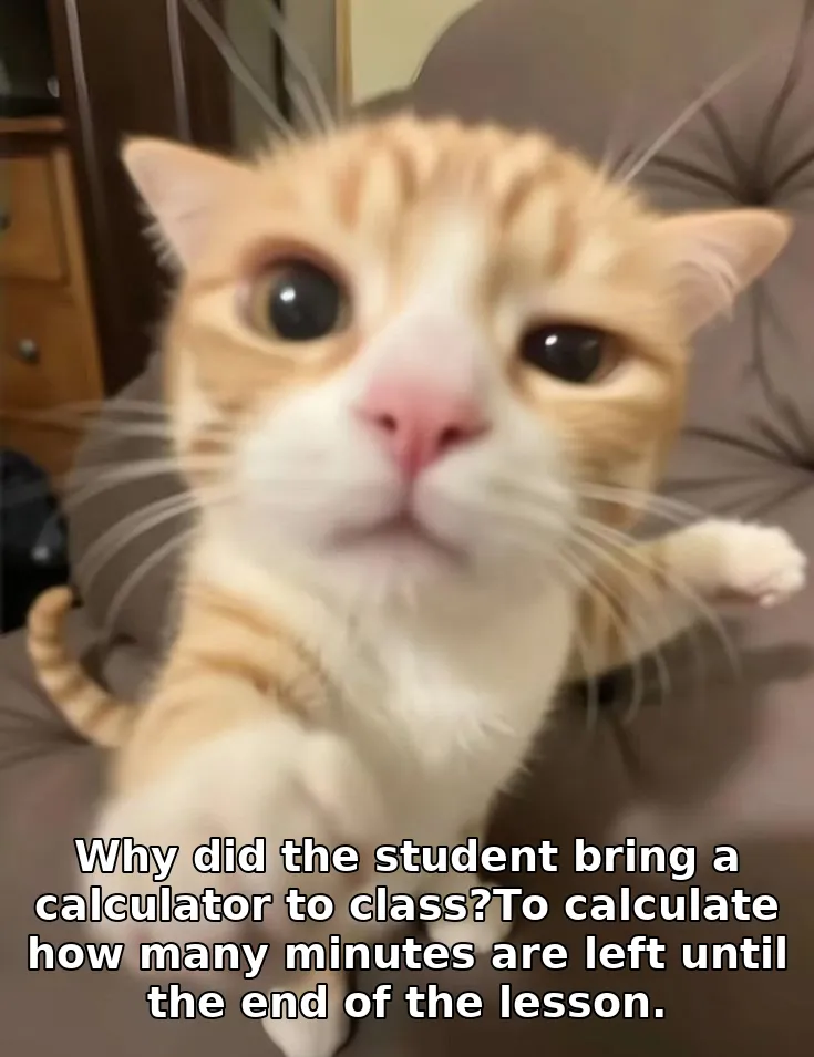 Why did the student bring a calculator to class?To calculate how many minutes are left until the end of the lesson.