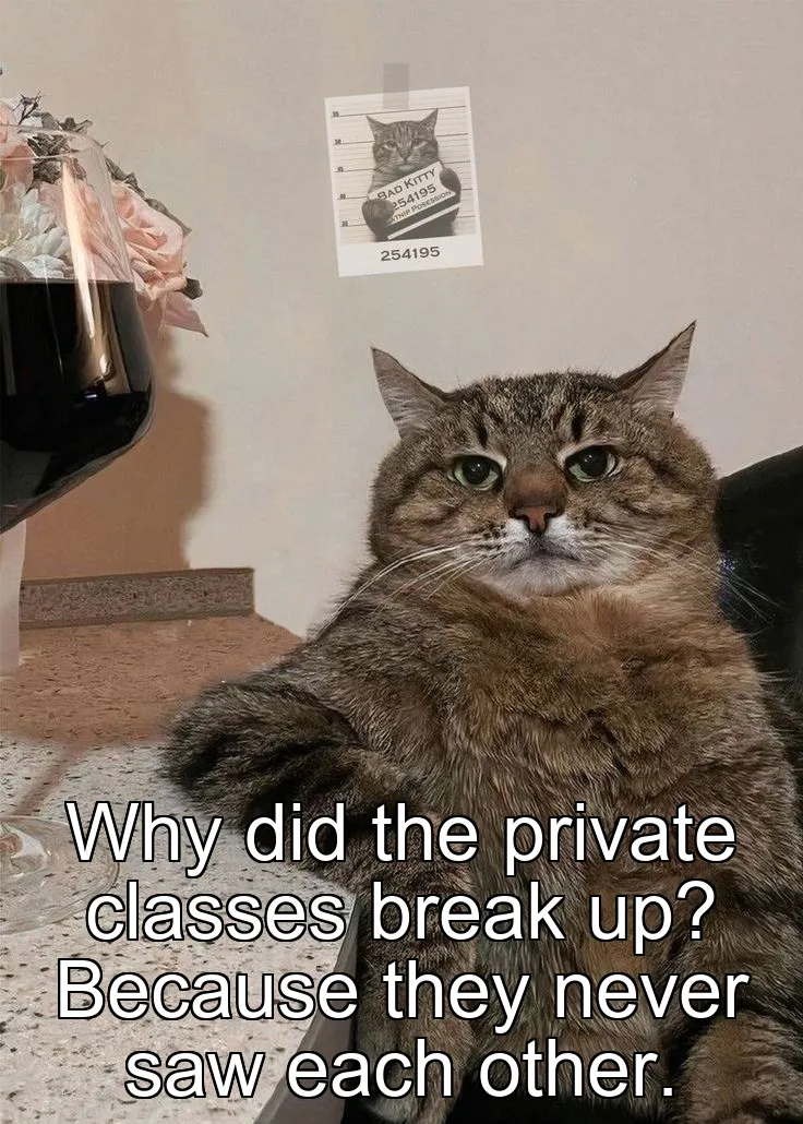 Why did the private classes break up? Because they never saw each other.