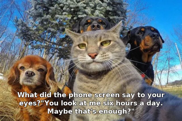 What did the phone screen say to your eyes?"You look at me six hours a day. Maybe that's enough?"