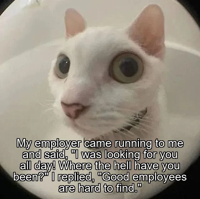 My employer came running to me and said, "I was looking for you all day! Where the hell have you been?" I replied, "Good employees are hard to find."