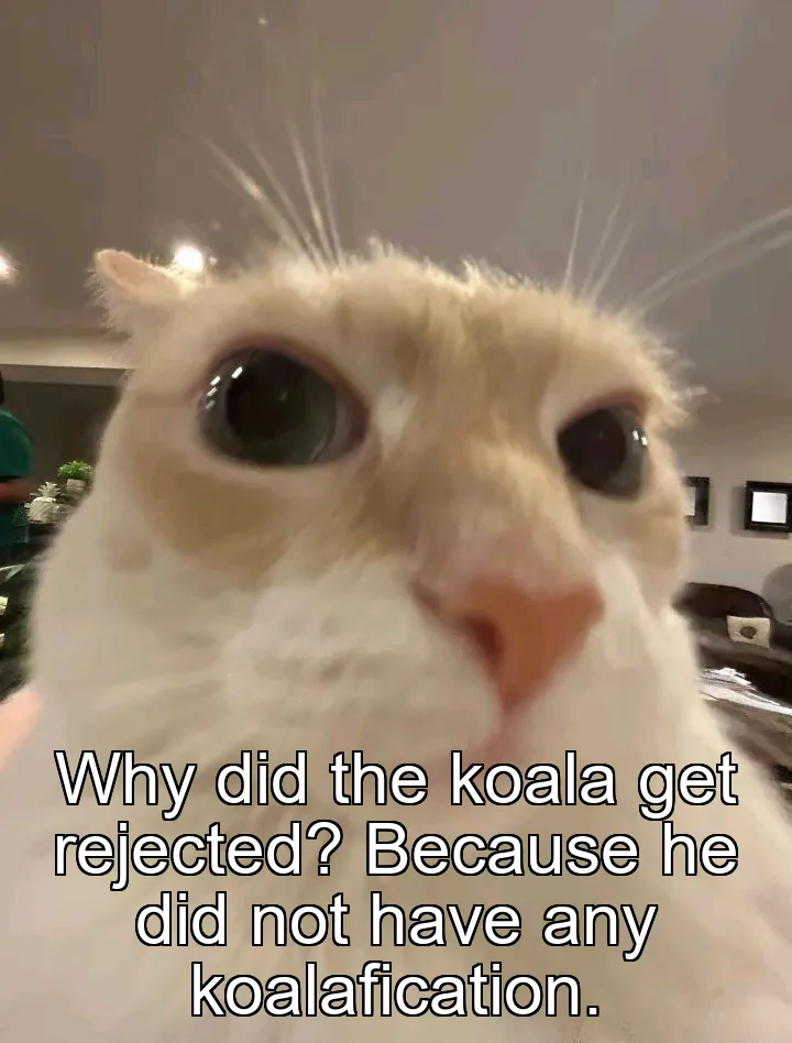 Why did the koala get rejected? Because he did not have any koalafication.