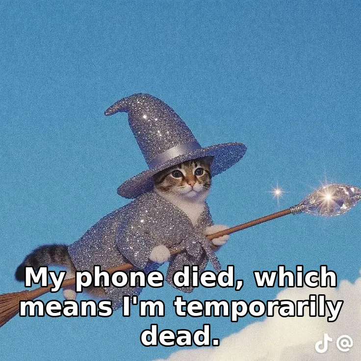 My phone died, which means I'm temporarily dead.