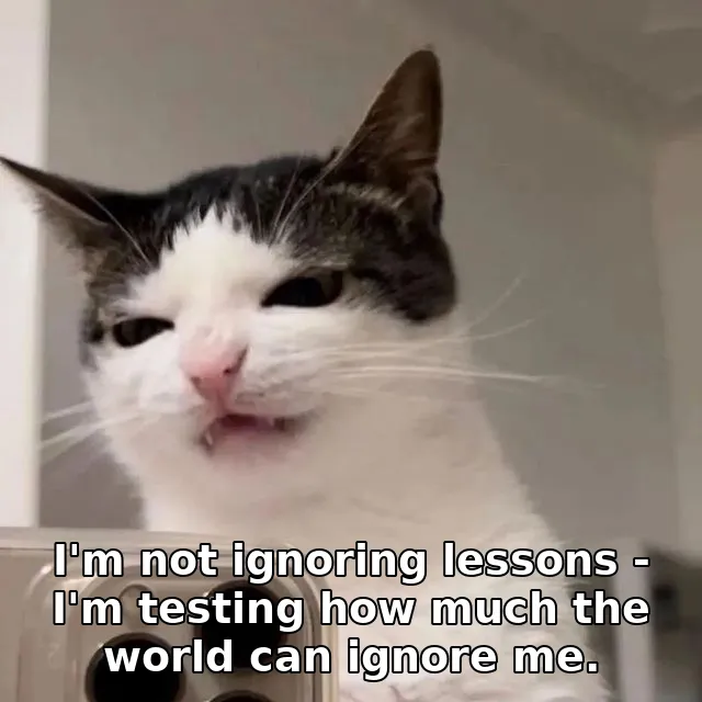 I'm not ignoring lessons - I'm testing how much the world can ignore me.