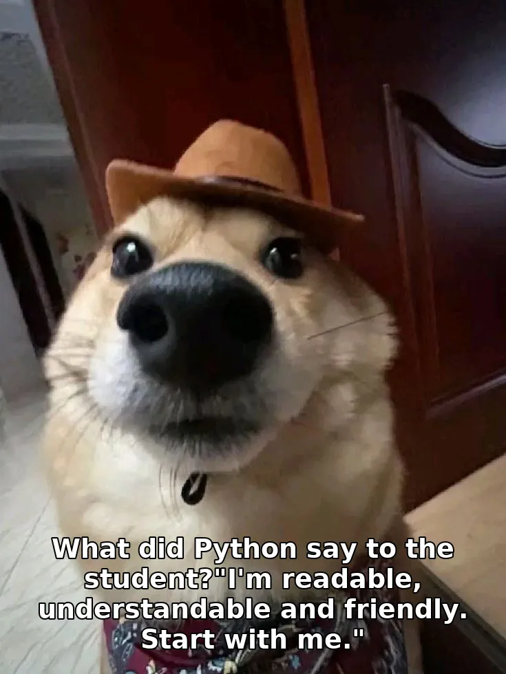What did Python say to the student?"I'm readable, understandable and friendly. Start with me."