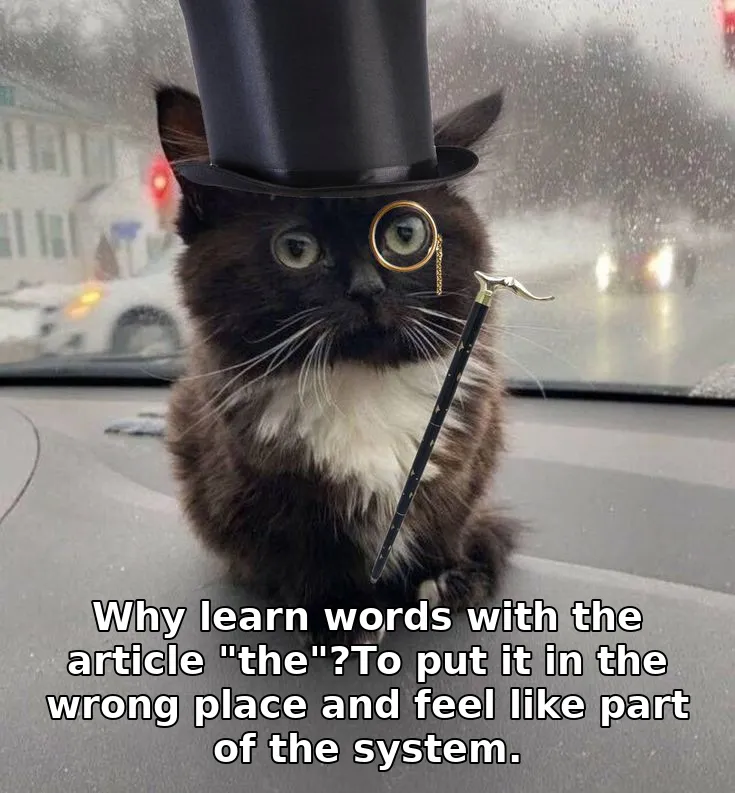 Why learn words with the article "the"?To put it in the wrong place and feel like part of the system.