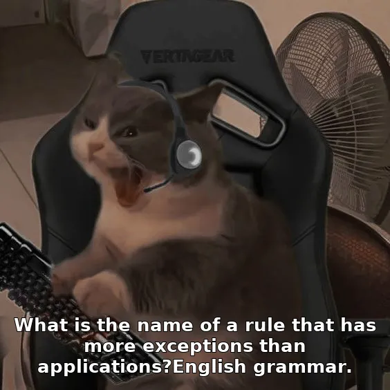 What is the name of a rule that has more exceptions than applications?English grammar.
