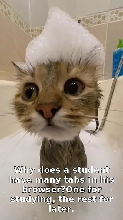Why does a student have many tabs in his browser?One for studying, the rest for later.