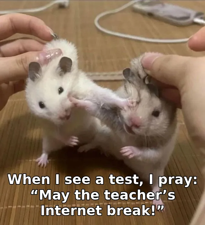 When I see a test, I pray: “May the teacher’s Internet break!”
