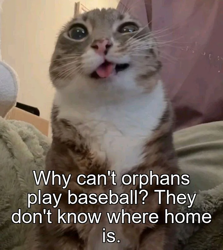 Why can't orphans play baseball? They don't know where home is.