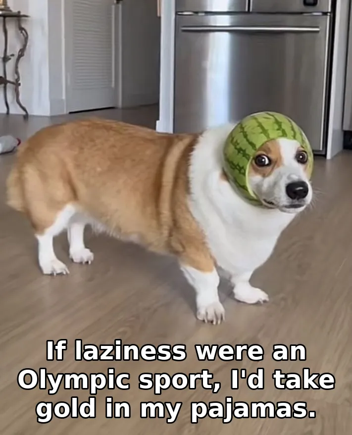 If laziness were an Olympic sport, I'd take gold in my pajamas.